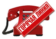 Горячая линия